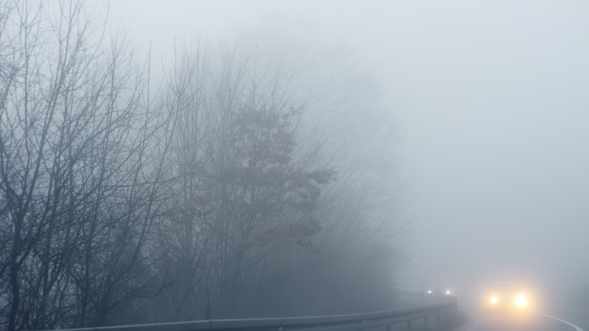 Headlights coming around a bend on a guardrailed road in thick fog
