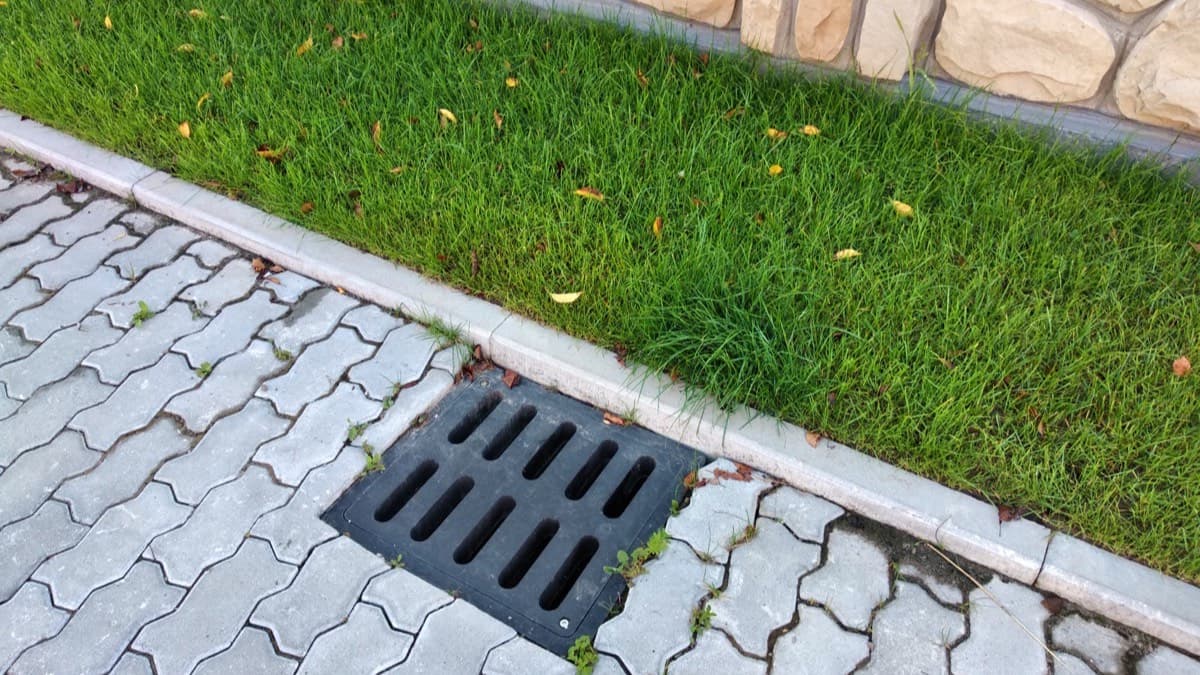 A storm drain grate set in a paver walkway along the edge of a lawn beside a stone wall