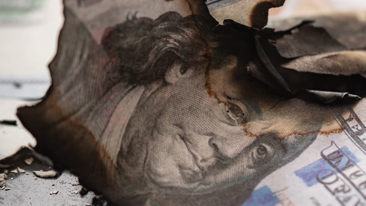A close-up of charred, curled hundred-dollar bills with blackened edges lying on other bills