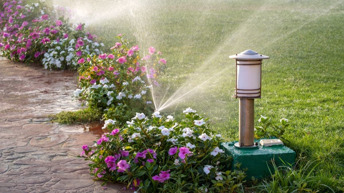 In-ground sprinkler heads spraying a bed of pink and white flowers beside a paver walkway and a garden lamp