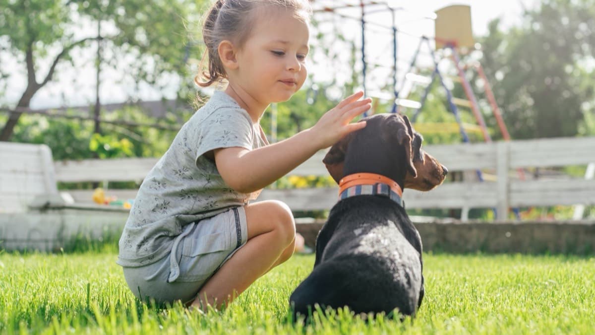 A young child gently petting a black dog on a backyard lawn