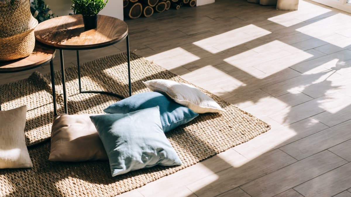 Low sun through window panes casting bright patches across a wood floor and a woven rug