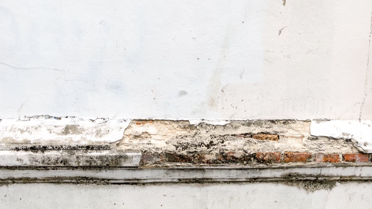 Crumbling plaster and exposed brick along the base of an old wall