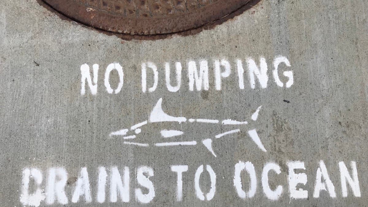 A No Dumping, Drains to Ocean stencil painted on the sidewalk beside a storm drain cover